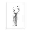 Deer Wall Poster