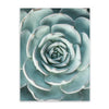 Succulent Wall Poster