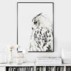 Owl Wall Poster