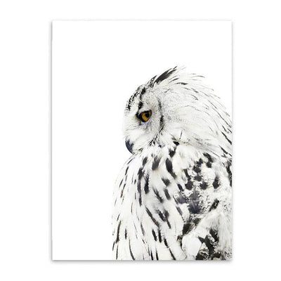 Owl Wall Poster