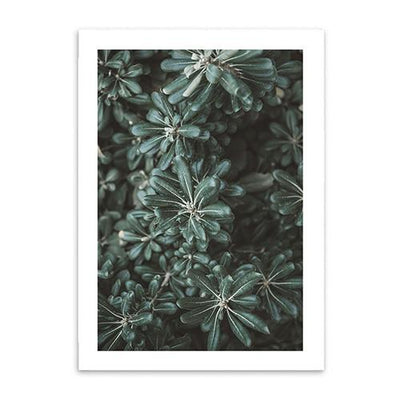 Plant Wall Poster