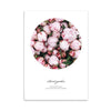 Flower Wall Poster